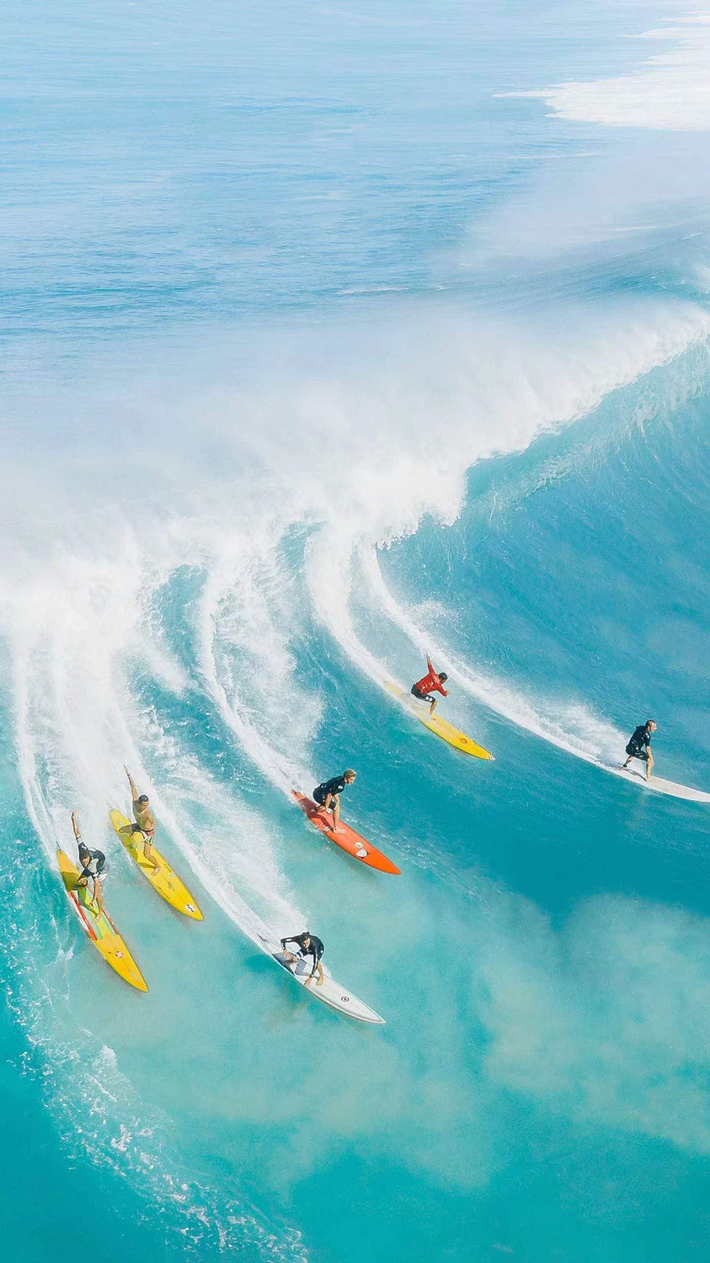 勇敢牛牛,不怕困难,向前进