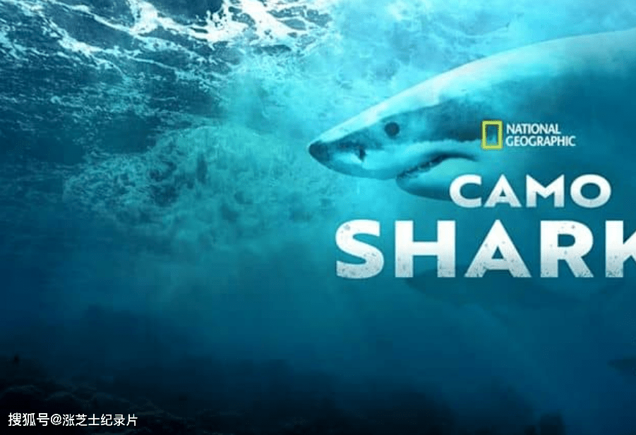 9867-国家地理《迷彩鲨 Camo Sharks 2022》英语多国中字 官方纯净版 1080P/MKV/2.45G 变色鲨鱼