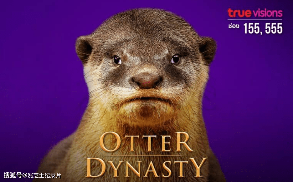 9998-探索频道《水獭王朝 Otter Dynasty 2023》第一季全6集 英语中英双字 官方纯净版 1080P/MKV/20.8G 水獭的权力的游戏