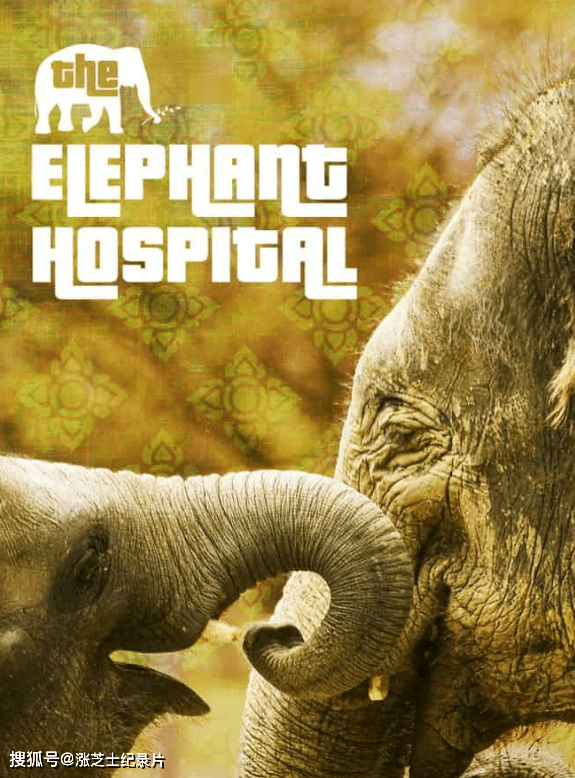 10031-Ch5纪录片《大象医院 Elephant Hospital 2022》第1-2季全6集 英语中英双字 1080P/MKV/12G 泰国大象医院