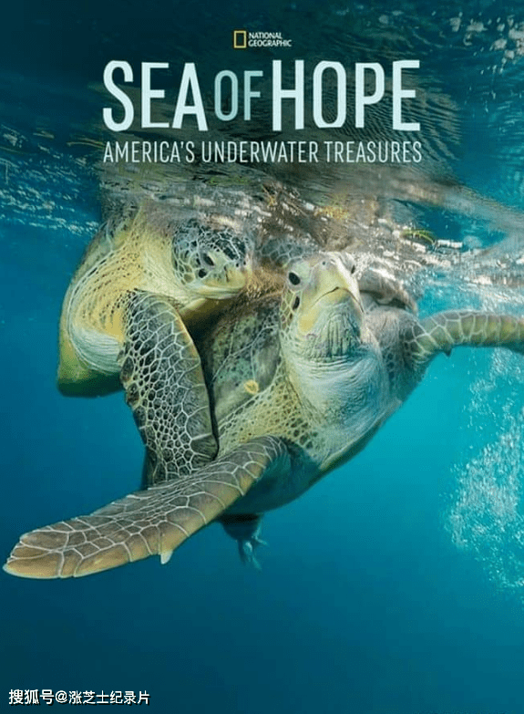 10008-国家地理《希望之海：美国的水下宝藏 Sea of Hope: America’s Underwater Treasures 2017》英语多国中字 官方纯净版 1080P/MKV/2.87G 蓝色公园
