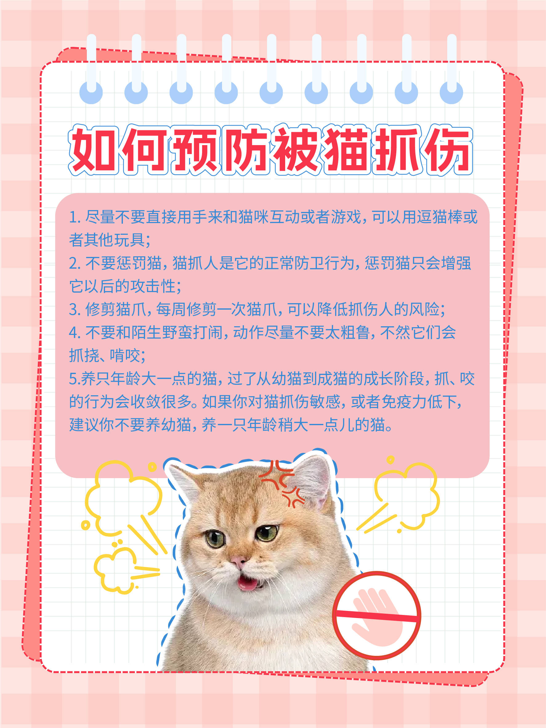 血泪教你,如何处理猫抓伤~-搜狐大视野-搜狐新闻