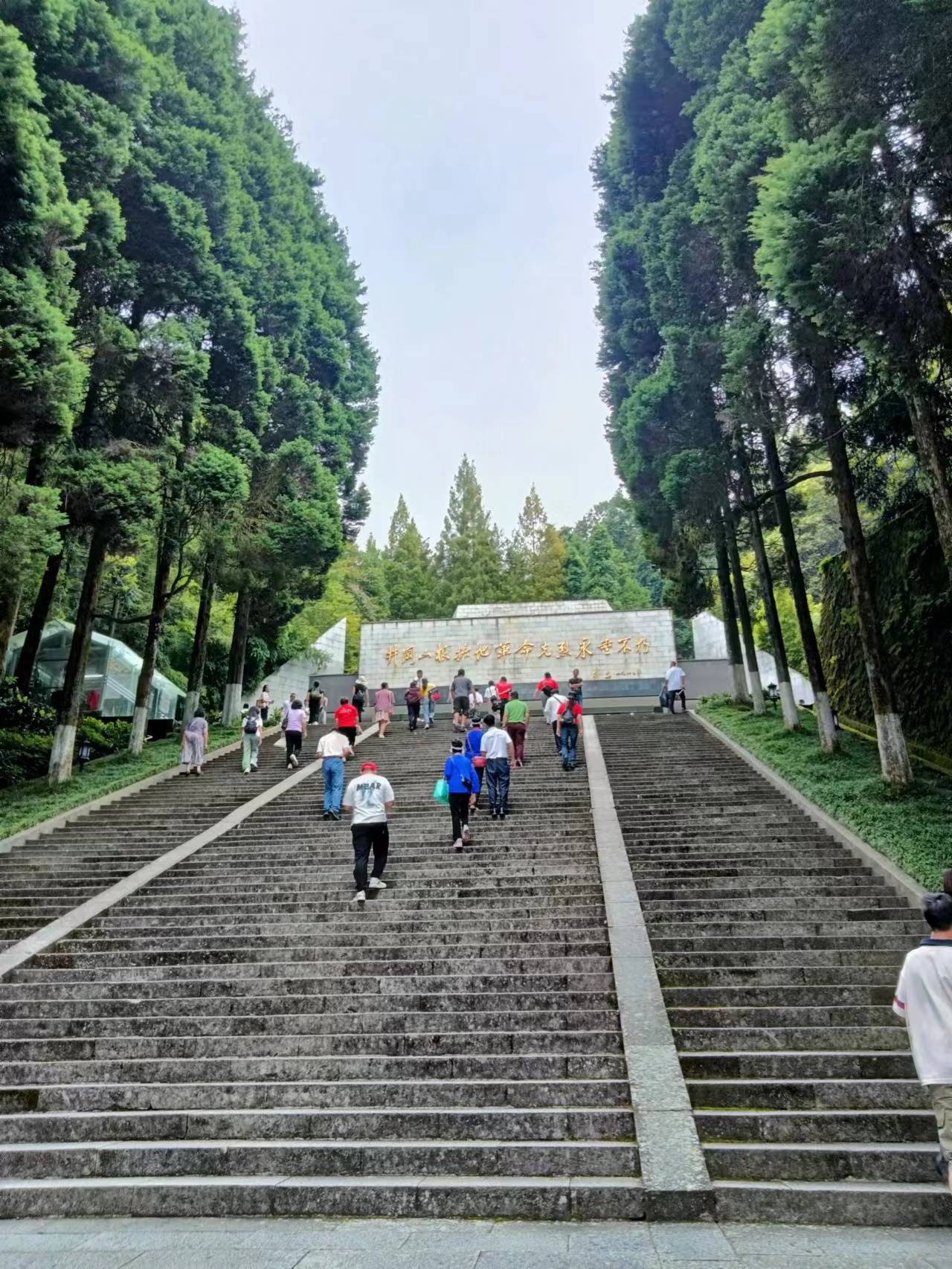 恒松控股集团的"成长密码":红色引擎_江教授_员工_叶帅