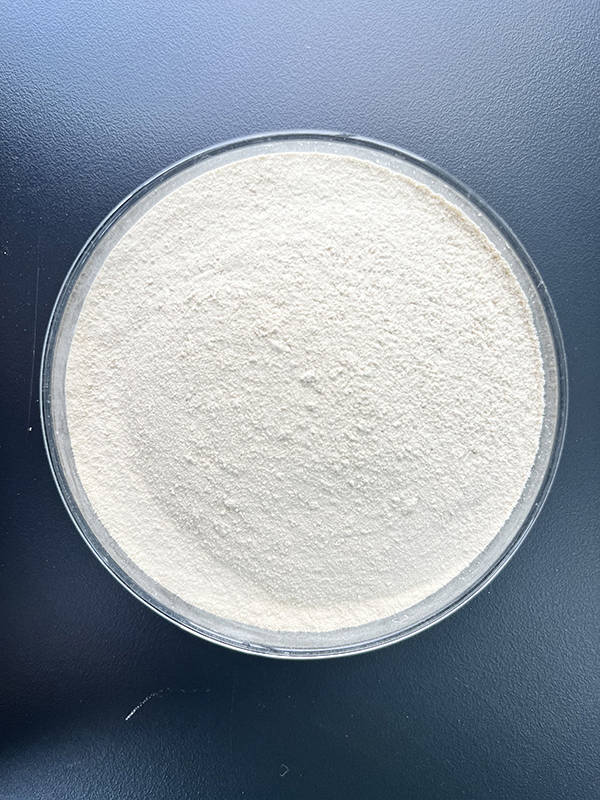 购买高质量富硒食用菌粉如何避免踩坑!