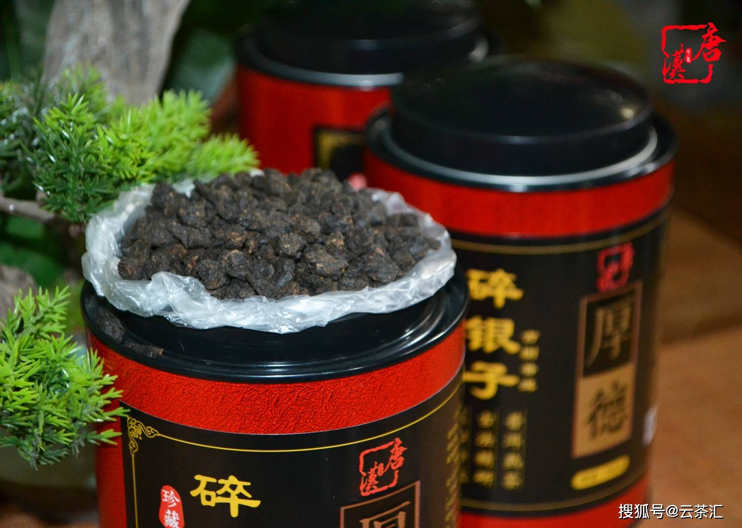 唐汉普洱2012年碎银子古树普洱茶500克/罐