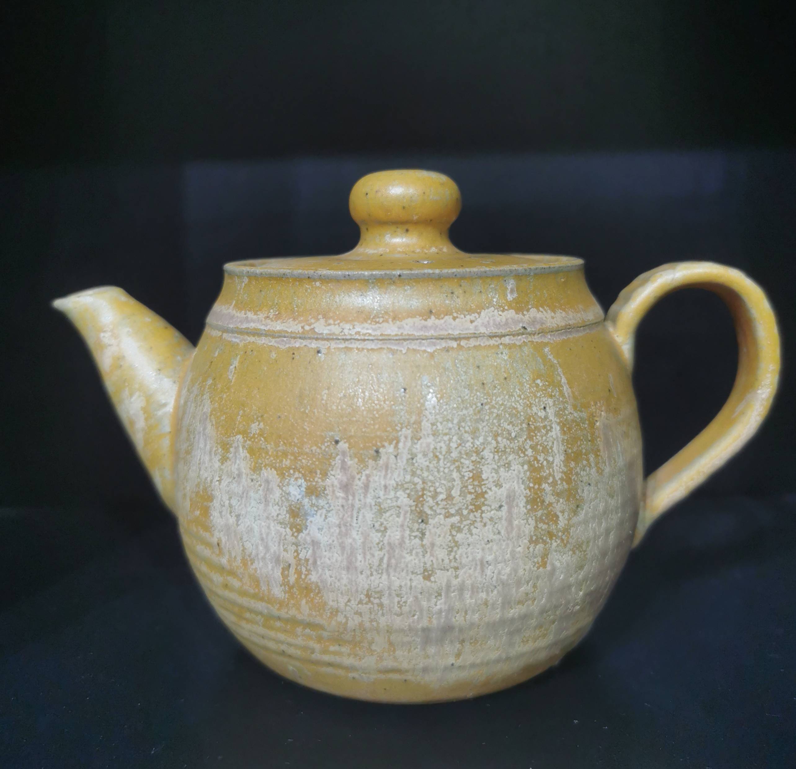 全国学院派陶瓷艺术专家方益鸣先生手拉坯陶艺壶欣赏_山东_作品_中国