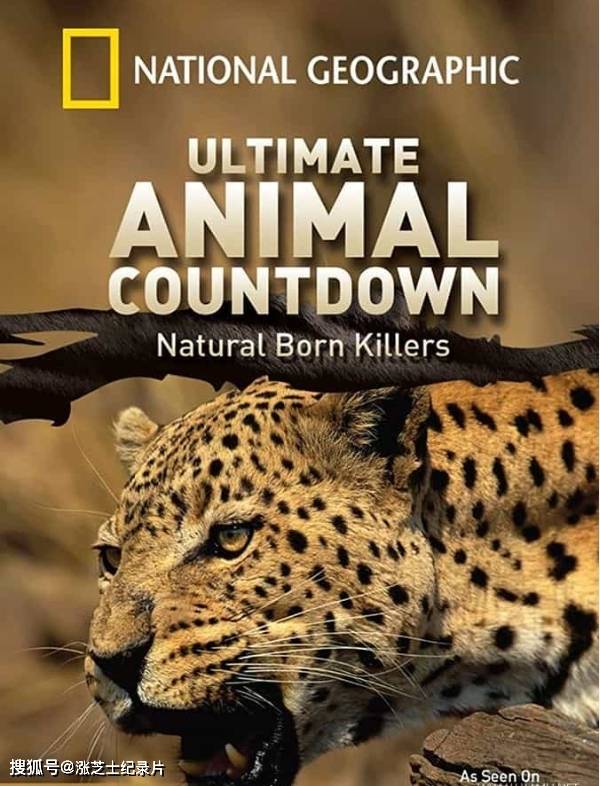 10152-国家地理《求生者／终极动物争霸战 Ultimate Animal Countdown 2013》英语中字 官方纯净版 720P/MKV/2.1G 超强动物生存本领