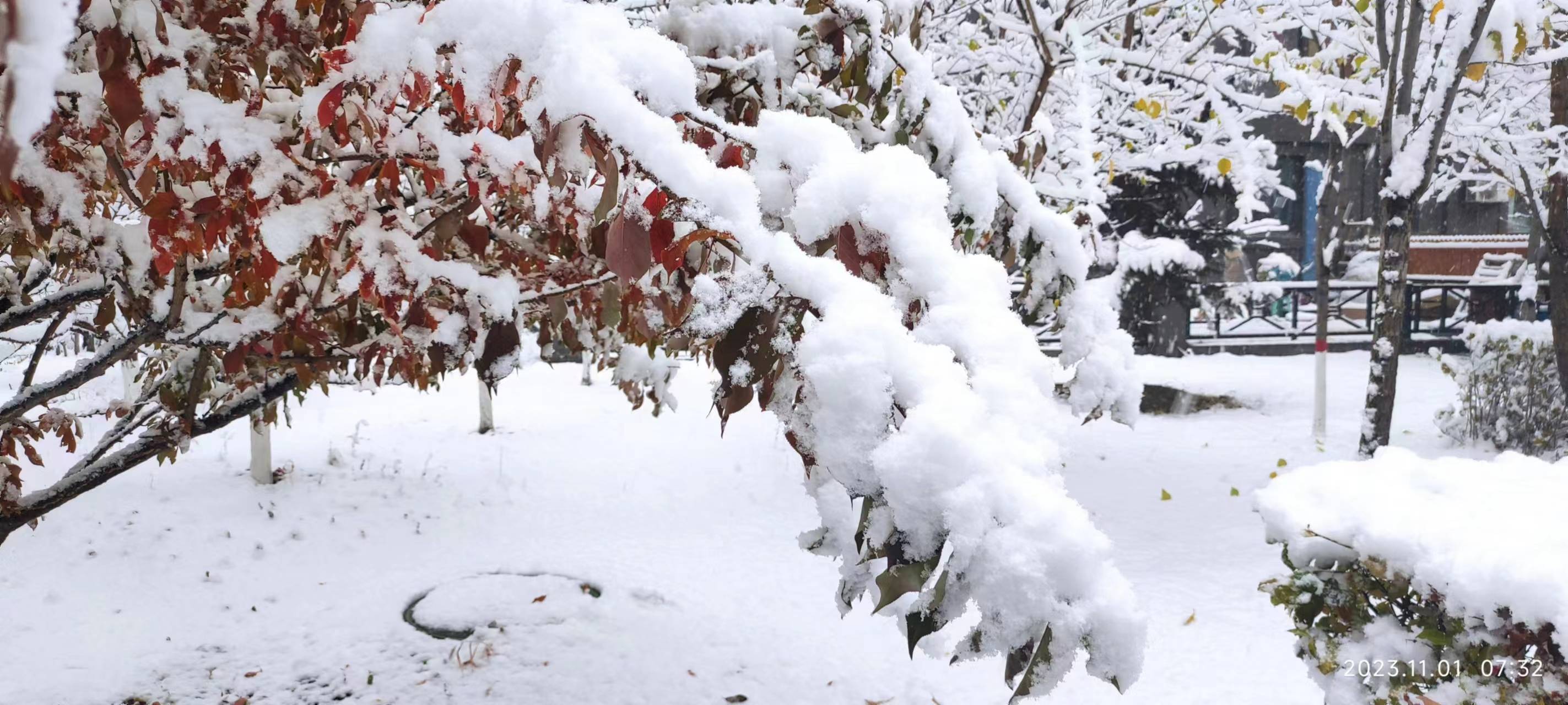 长春第一场雪景图片图片