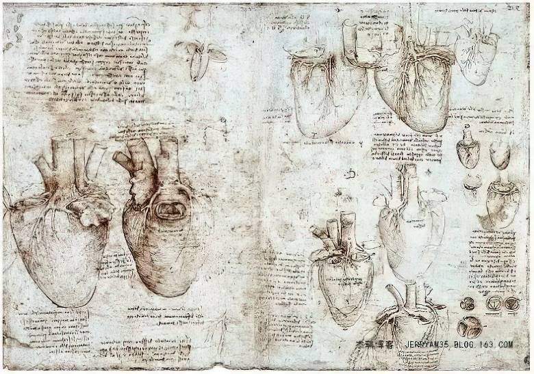 达芬奇合体解剖图图片