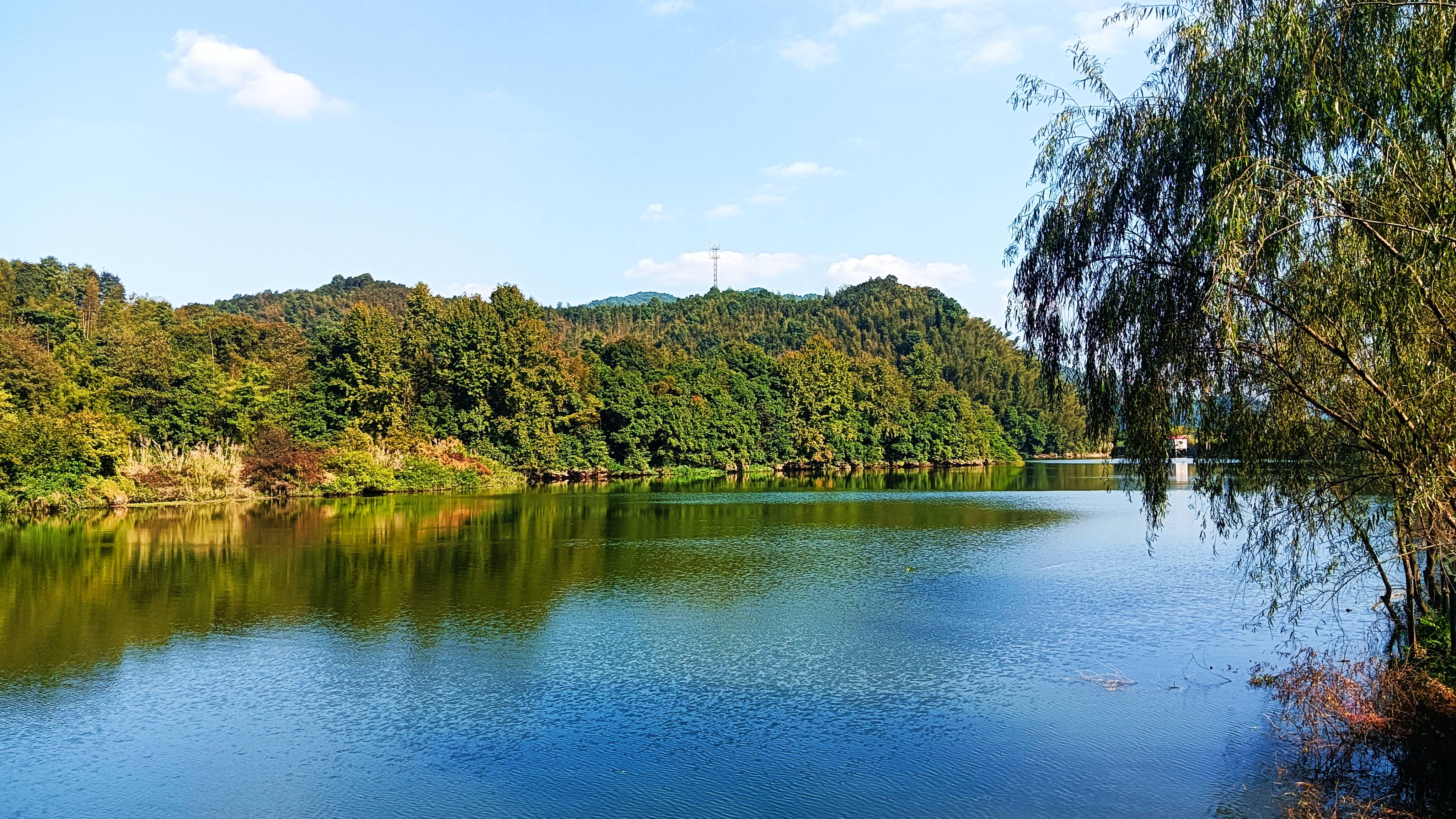 牧童遥指大余游仙村赣南桃花岛