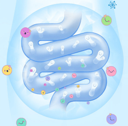 许葵简析改变肠道菌群的组成,达到抑制肥胖!_食物_饮食_包括