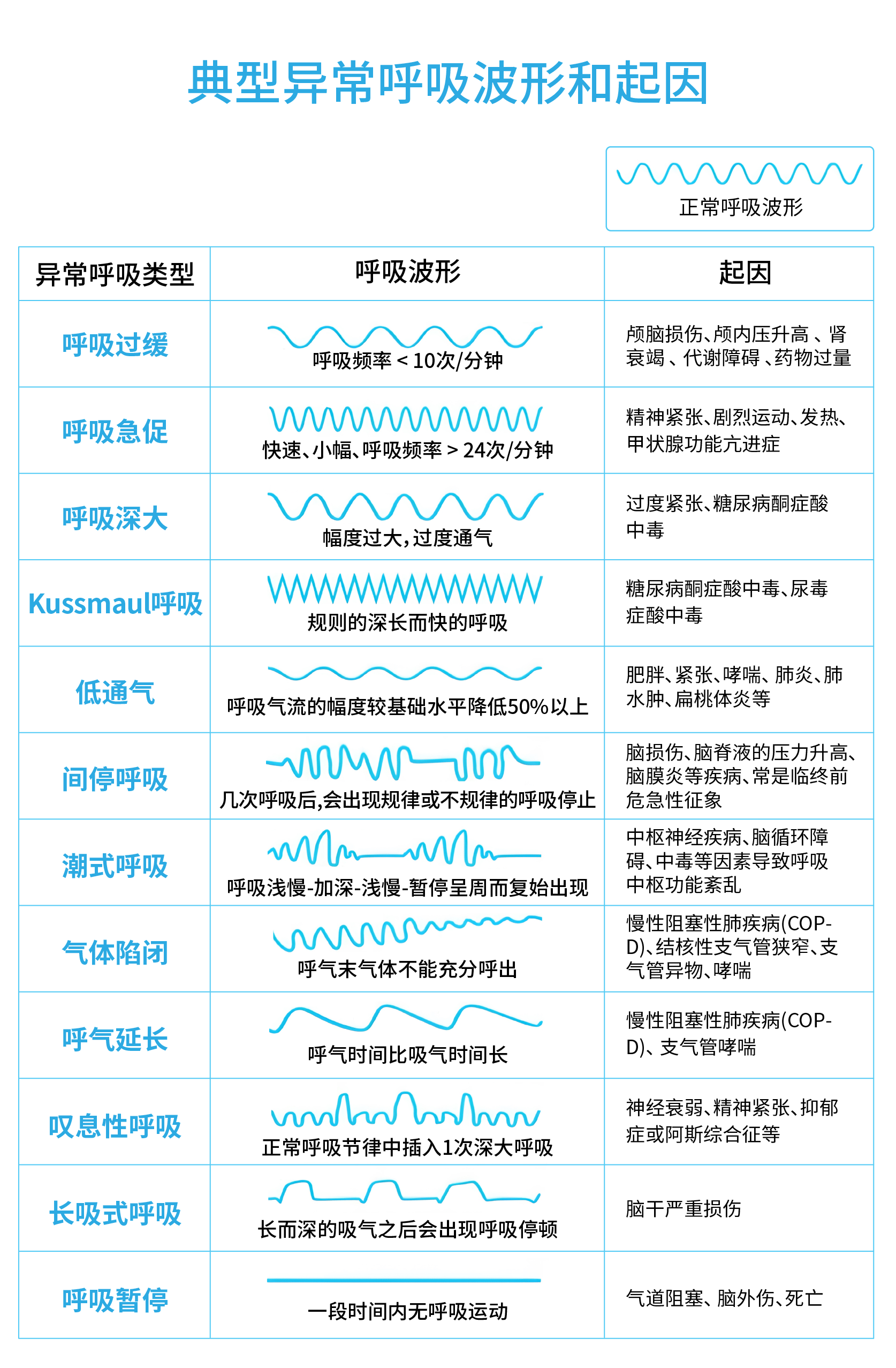 扁形动物呼吸方式图片