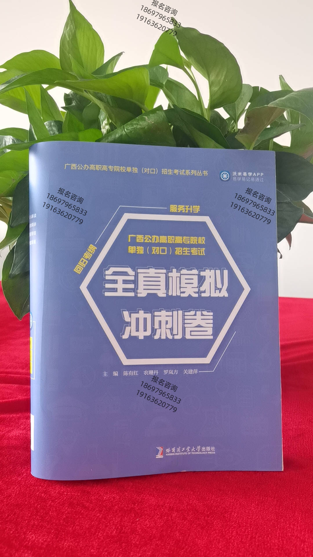 2,對於不要求背誦的文言文翻譯,為課外文言文打基礎!