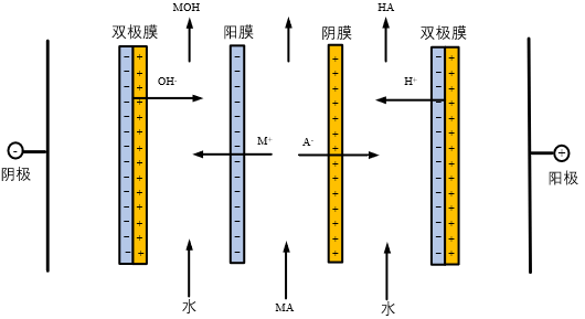 雙極膜電滲析器_過程_生產_有機酸