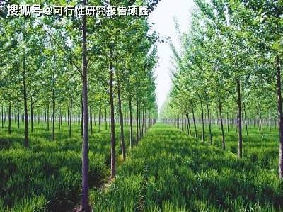 西安市未央區鳳城12路66號首創富北高銀商務中心17層【負責人及聯繫