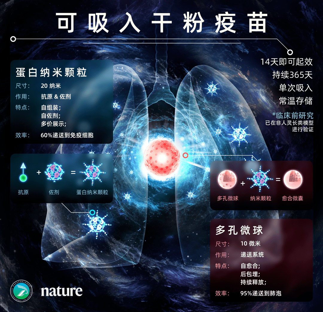 我國科研人員開發出新型乾粉吸入式疫苗研製技術_誘導_複合_抗原