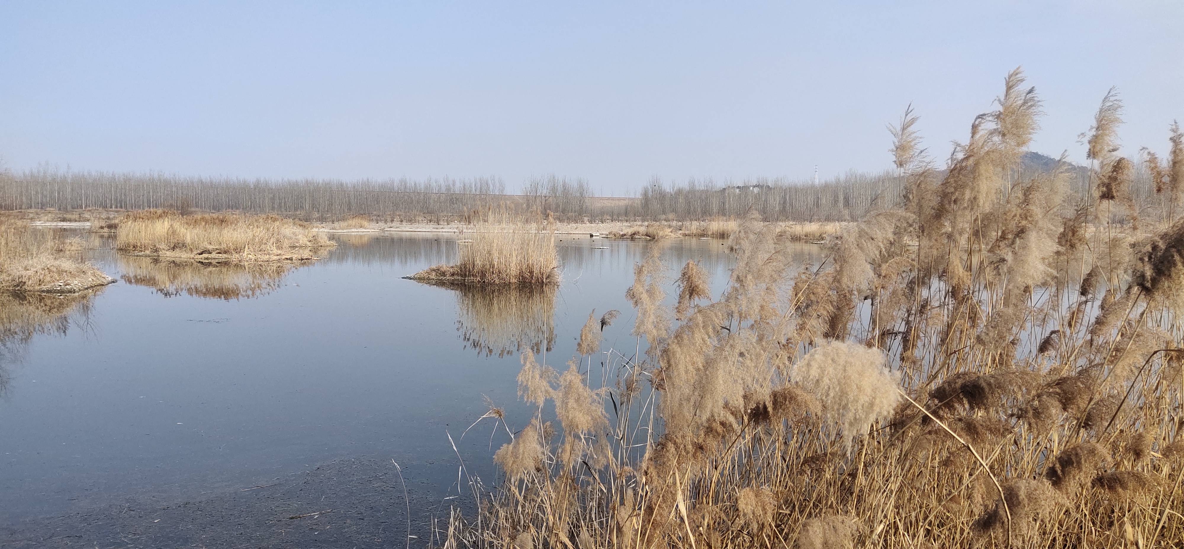 沂蒙霞客行 元旦日行走沂河_遺址_沂水_水庫