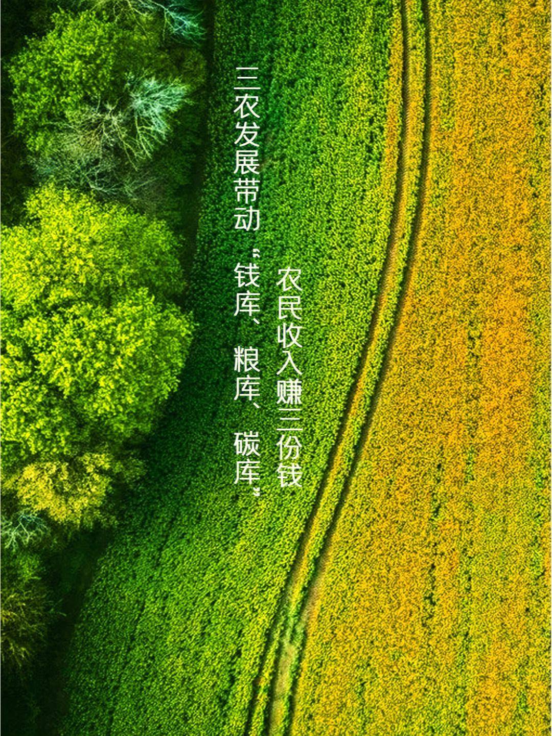 学习"三农"工作精神,振兴新时代新征程