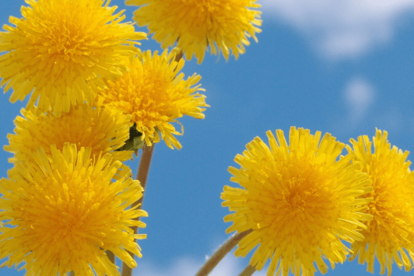 12月30日以后 运势恢复 可喜可贺地结婚 一帆风顺的4星座 桃花运 爱情 真爱