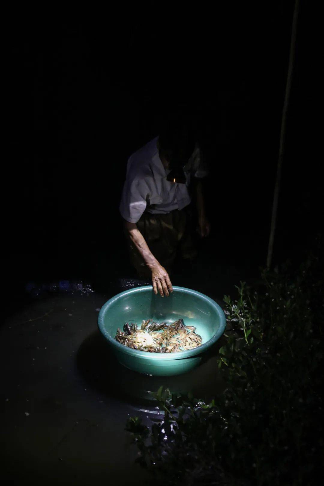 后疫情时代的"小龙虾第一村"