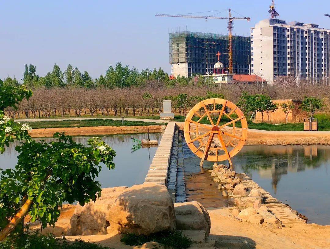 稷山乐在民悦园风景美翻了