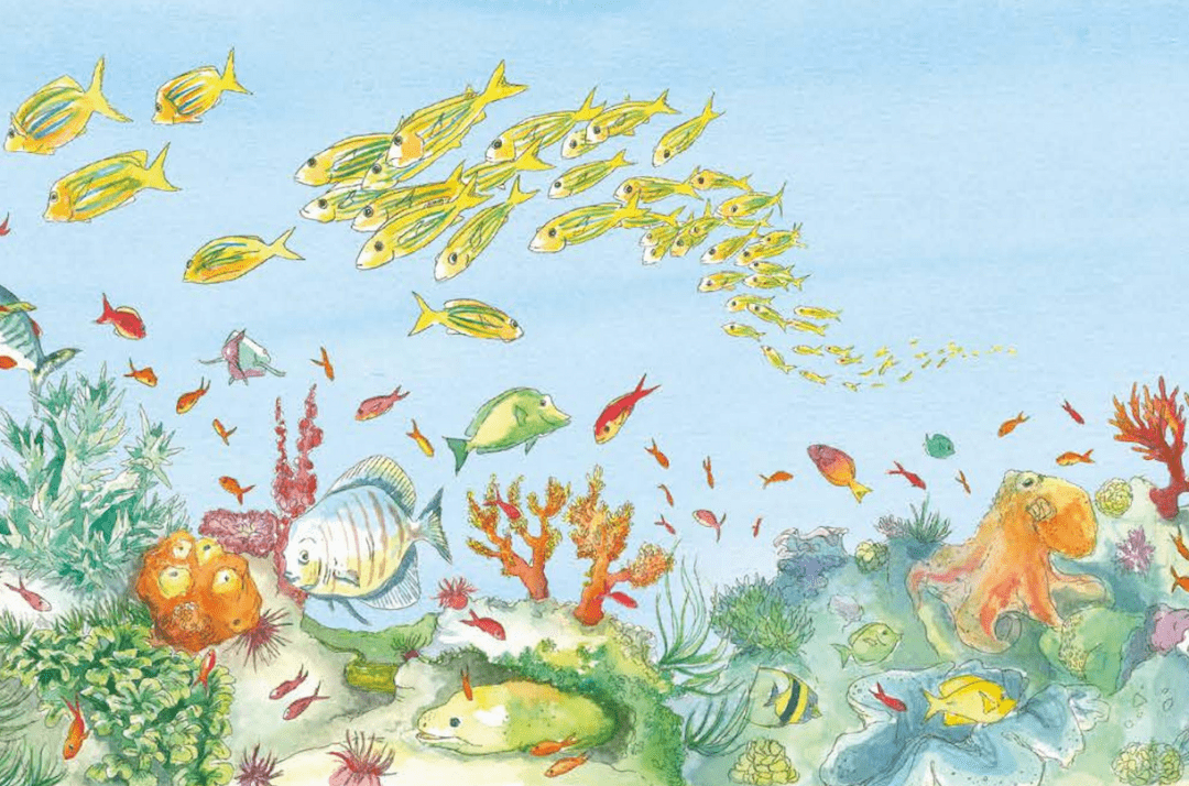 新书做地球小卫士保卫我们的珊瑚王国