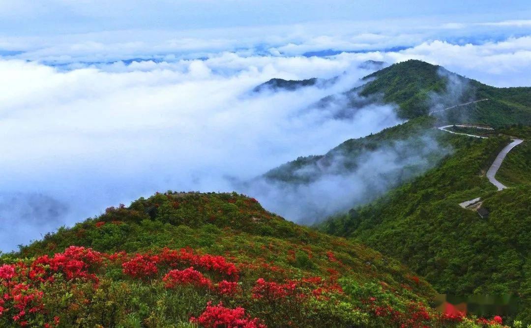 凌云山小布镇翠微峰天然美景宁都,欢迎您!