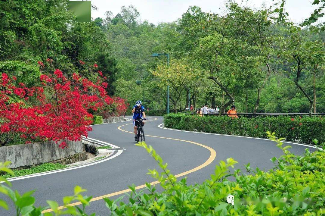 投送一份红花湖景区小攻略