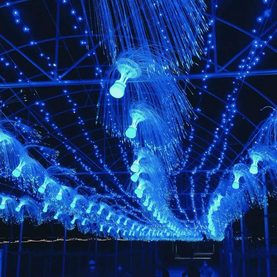 的灯光秀更加具有视觉冲击力还有水幕电影裸眼3d效果让你大开眼界地址