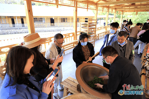 遊客觀摩廬山雲霧茶製作技藝非遺傳人手工製茶