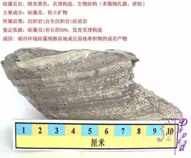 硅藻页岩硅化叠层石灰岩高岭石粘土岩钙质长石岩屑砂岩钙质长石石英