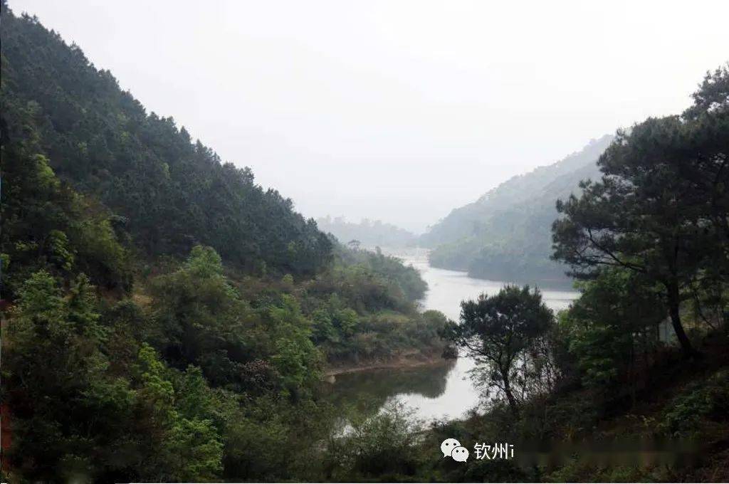 入海第一大河,发源于玉林市北流市大容山南侧,自北向南流,故名南流江