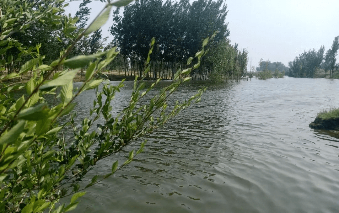 大城生态补水再度牵手子牙河