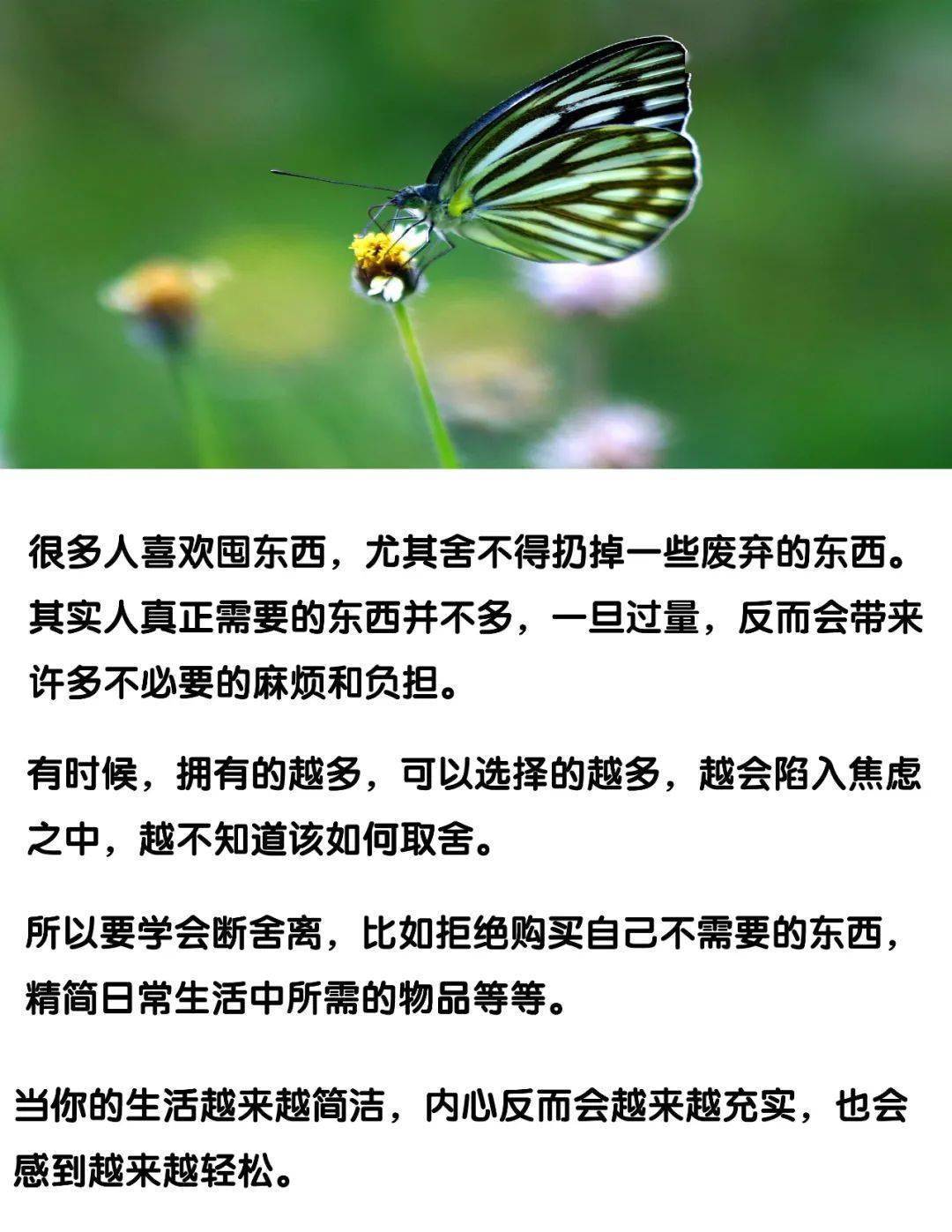 五和文化浩然夜读更好的人生要学会做减法