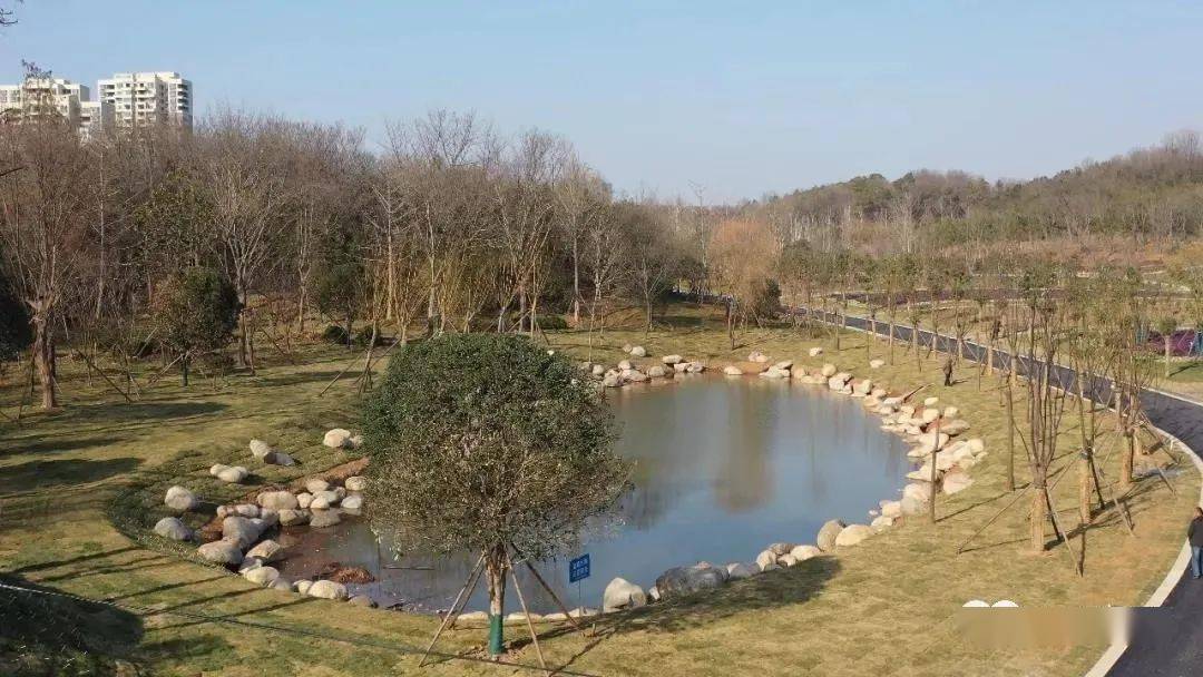 锦峰旅游信阳多个氧吧羊山森林植物园开园啦