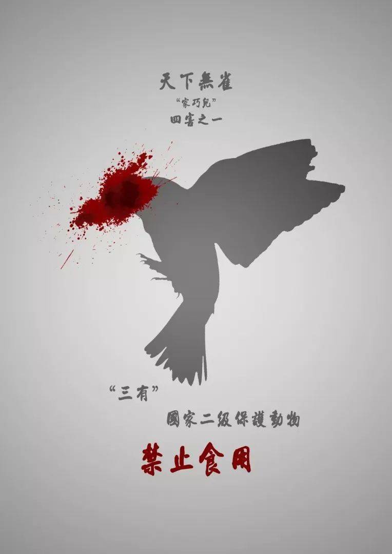 拒食野生动物,倡导文明新风.