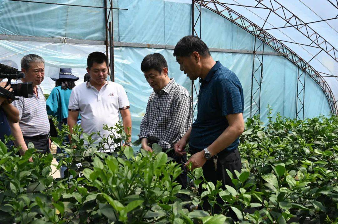 市人大常委会考察组到昌黎县考察乡村旅游发展情况