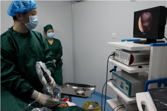 丹东市第一医院眼科新技术:内窥镜引导下泪道阻塞,泪囊炎治疗介