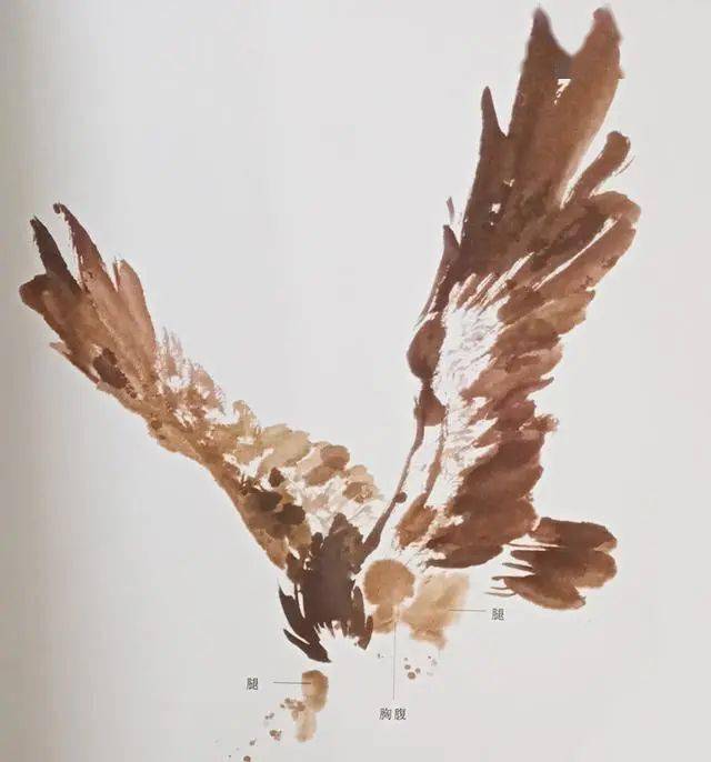 国画教程鹰的写意画法