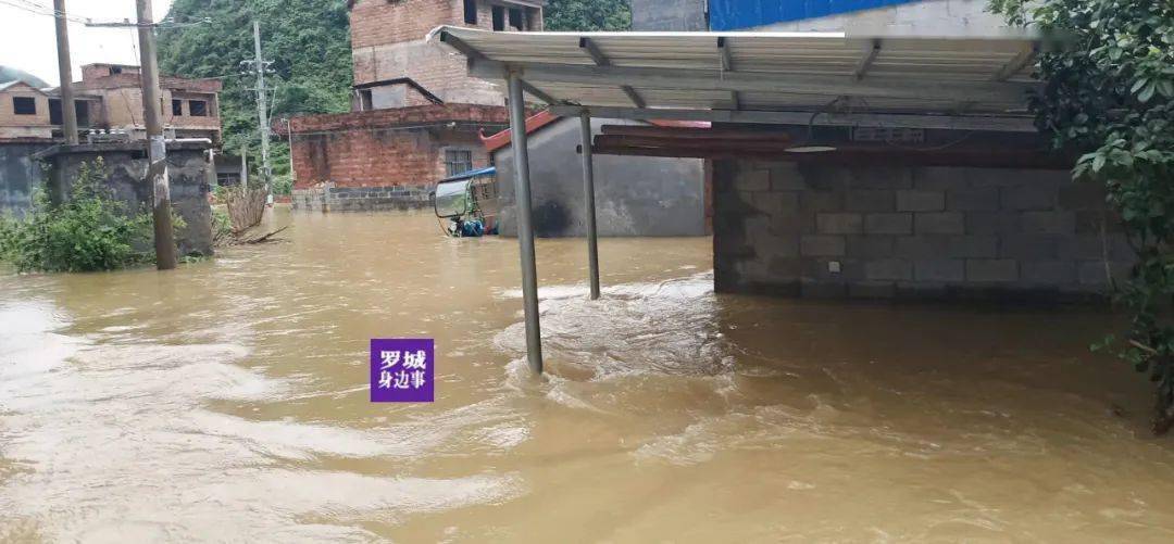 要紧罗城遭遇今年最强降雨多地遭受洪涝灾害城区多条街道变身河道接