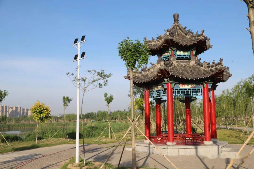 盐山这道靓丽的风景线又回来了请看视频