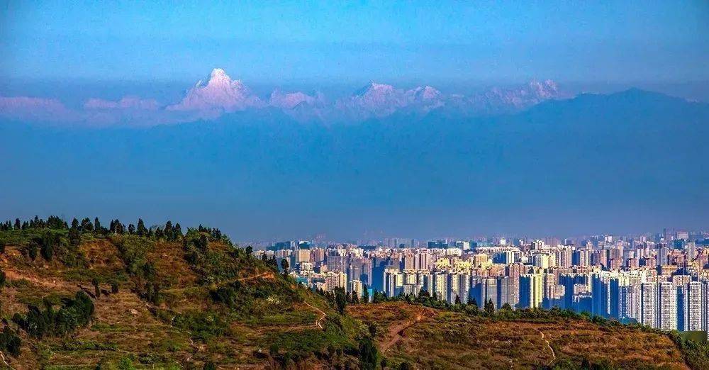 世界最大城市森林公园发现最美丽动人的树