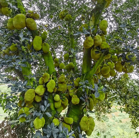 为救轻生女子,钦州警察毫不犹豫跃进涨潮的钦江水中.