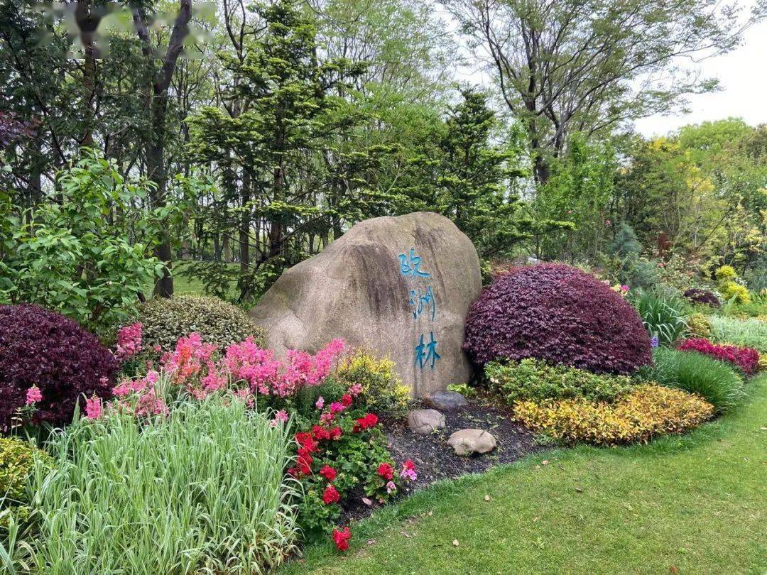 探索申城这些花坛花境等你来欣赏一大波美图来袭