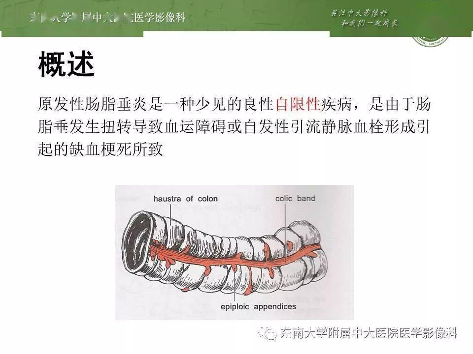 原发性肠脂垂炎