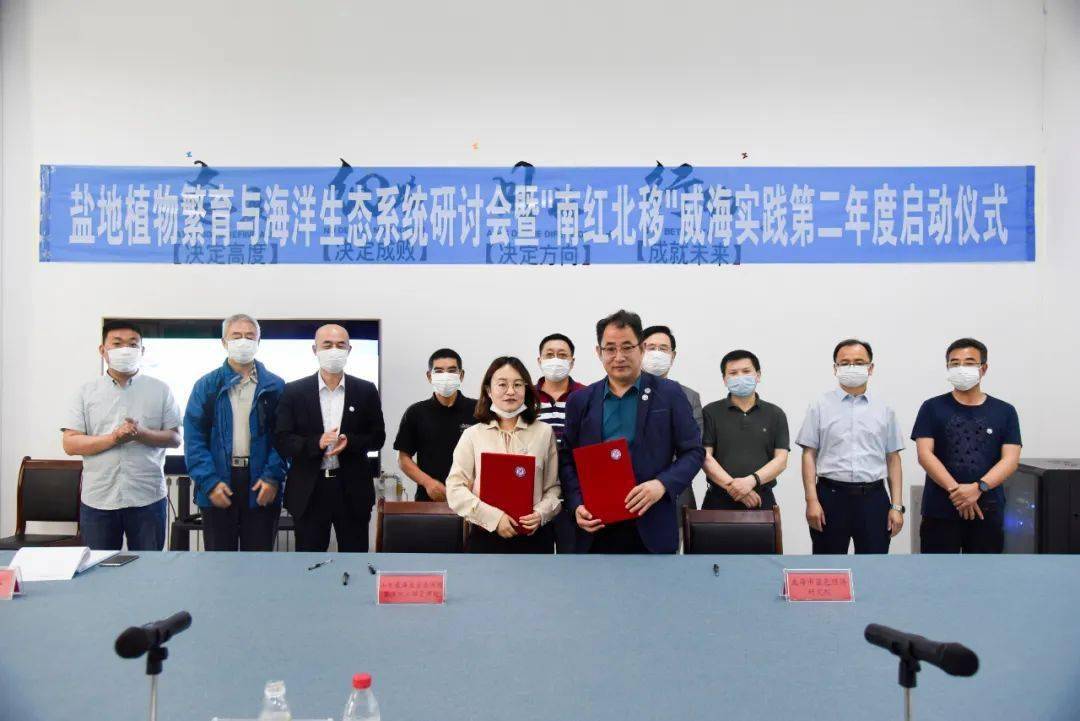 柽柳南移红树北移400枚秋茄胚轴扎根南海