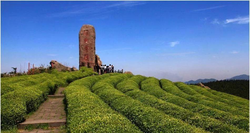 13 穿越大嵩岭古道,漫步福泉山茶园,轻装行走山脊线