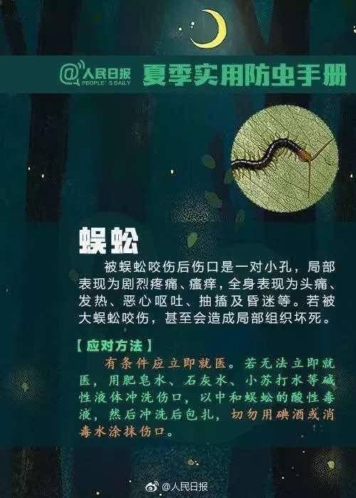 恒耀平台官网女子公交车上突然晕厥,竟是因为被蚂蚁咬了,严重可致休克(图6) 恒耀平台官网女子公交车上突然晕厥,竟是因为被蚂蚁咬了,严重可致休克(图6)