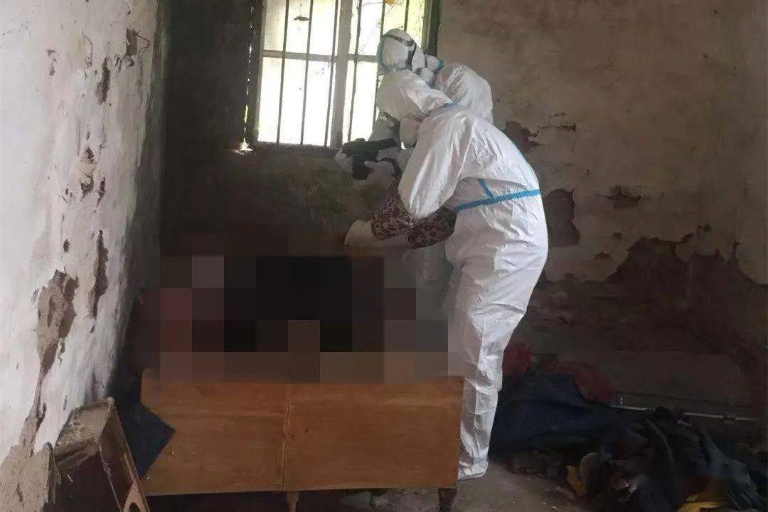 桂平法证先锋逆行的英雄正义的代言