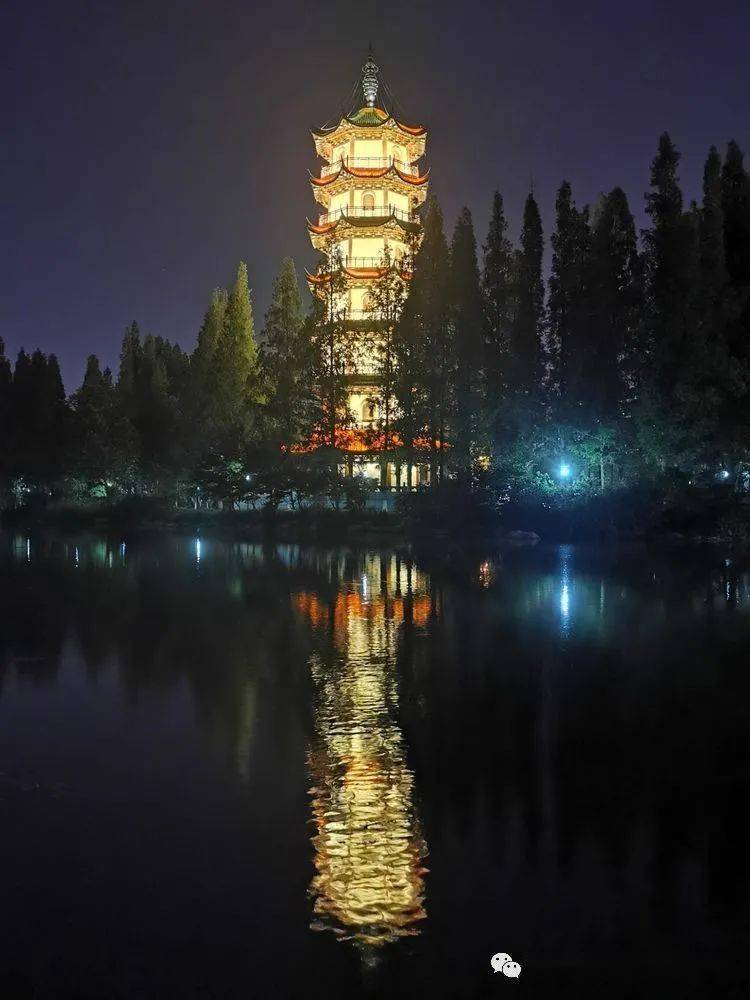 光影邳州|栗洪民:夏日的桃花岛